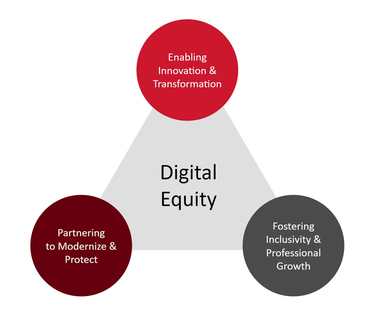 Digital Equity Strategic Framework