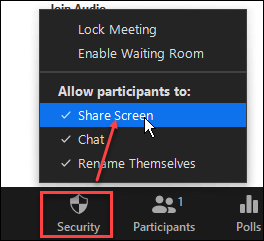 Allowing Participants to Share Their Screen in Zoom | Division of