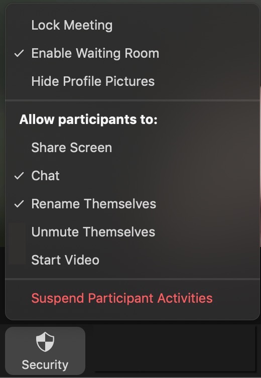 Security settings with Lock meeting unchecked, enable waiting room checked, hide profile pictures unchecked, share screen unchecked, chat checked, rename themselves checked, unmute themselves unchecked, start video unchecked