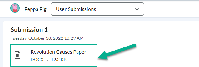 Image of a file submission in the evaluation area of an assignment