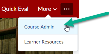 Image of the Navbar option "More" being selected. This opens a drop down highlighting the option titled "Course Admin".