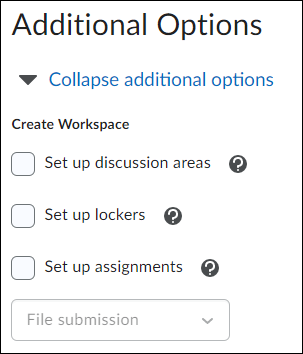 Image of the Additional Options to set up discussion areas, lockers, and assignments