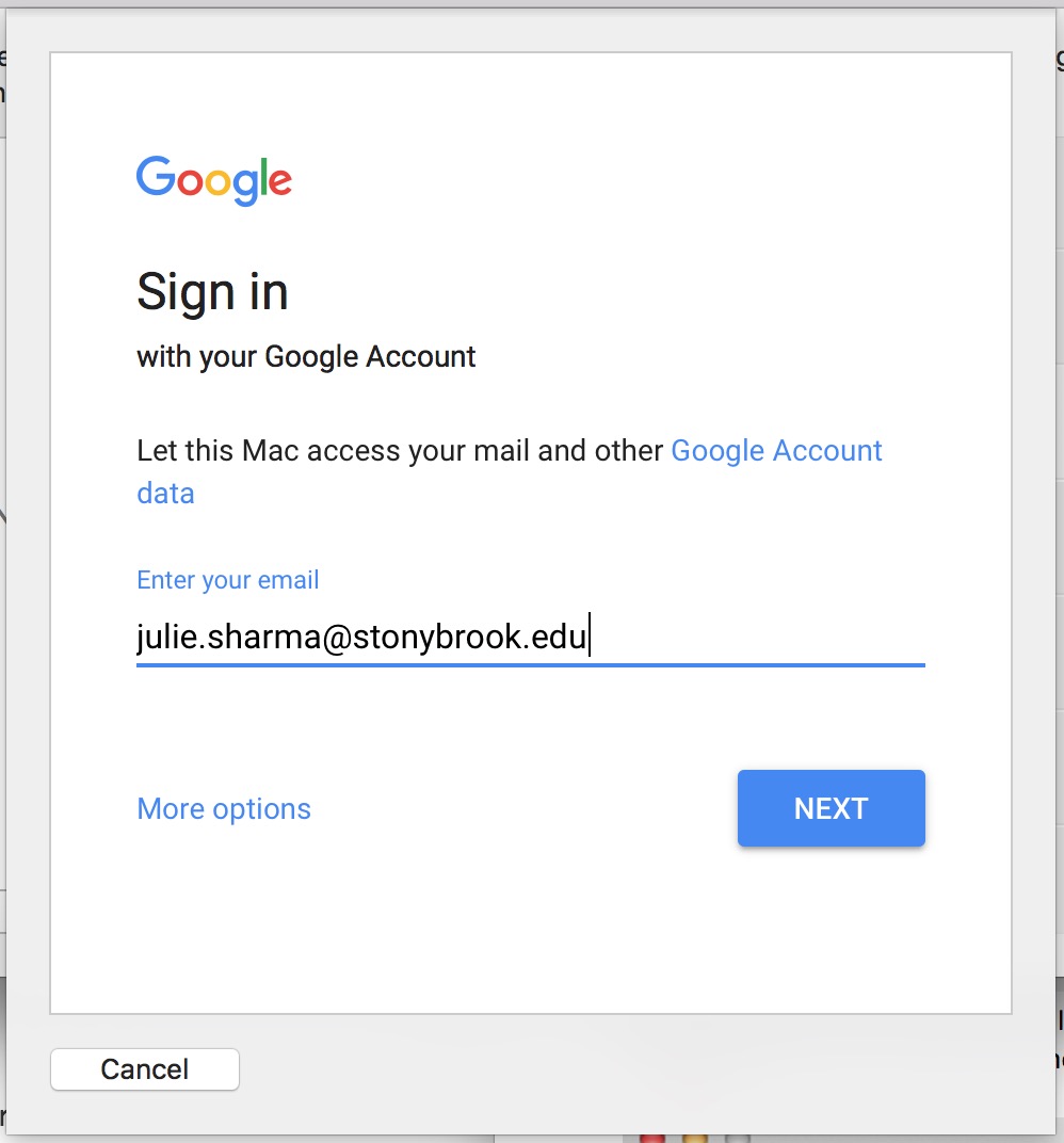 sign in with Google Account