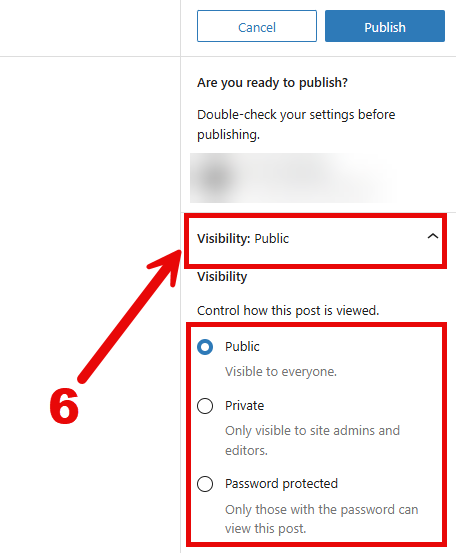 Publish sidebar with arrow pointing to the Visibility dropdown (options: Public, Private, Password Protected).