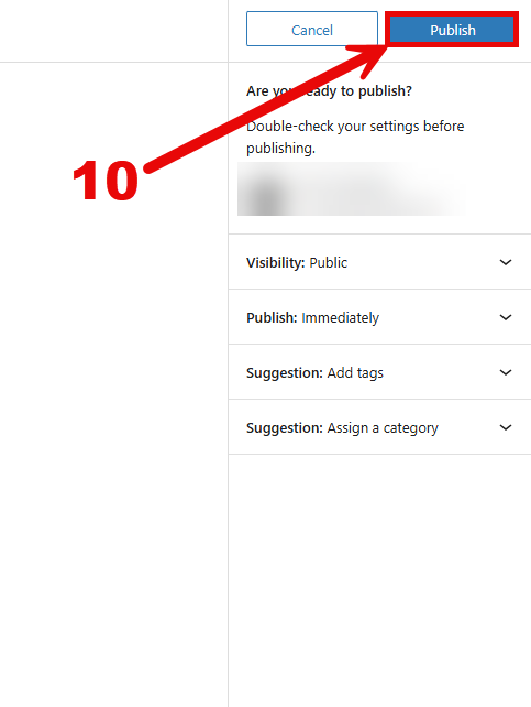 SBYou post editor publish sidebar with arrow pointed to blue "Publish" button.