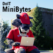 Wolfie at fountain on a laptop