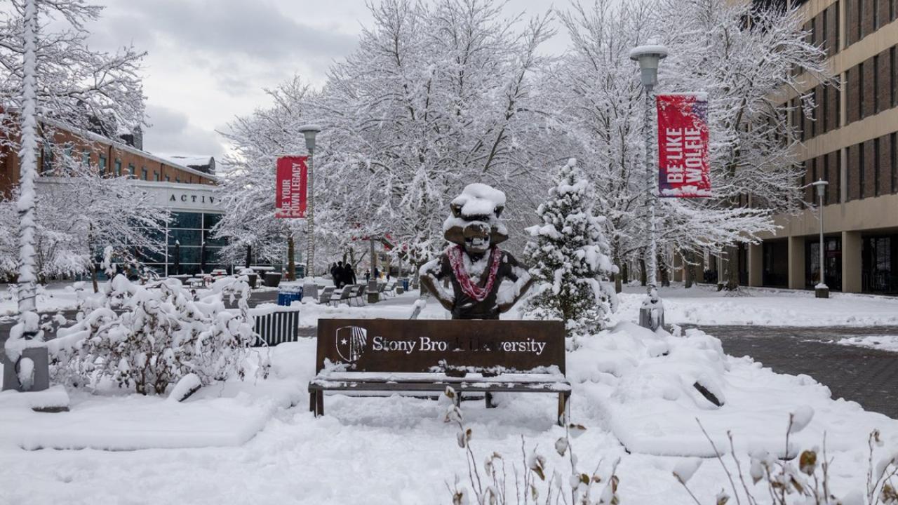 Wolfie statues in snow