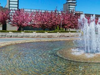 Tips for a Great Summer Semester at Stony Brook