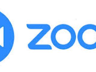 Zoom logo