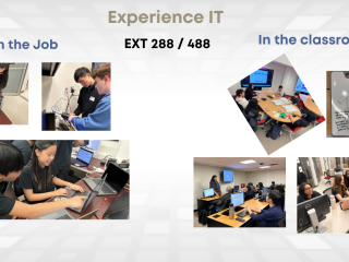 Students participating in IT internships