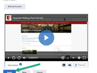 Image of the preview field for the echo video and under it the insert button is highlighted