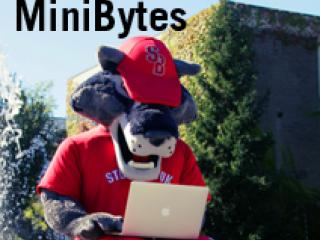 Wolfie at fountain on a laptop