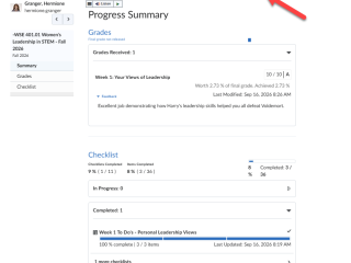 Learner view of progress report