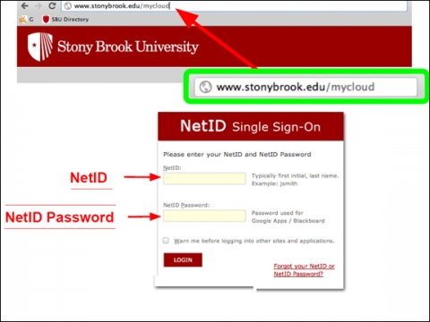 screenshot of Stony Brook's NetID Single Sign On Page