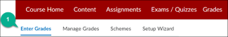 Image of the Exempt Grades tab in the gradebook