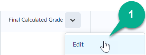 Image of a final calculated grade item being edited