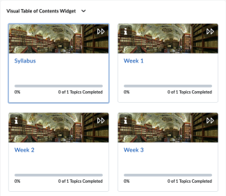 Visual Table of Contents widgets showing cards for Module 1, Module 2, Module 3, Module 4, etc. each with 