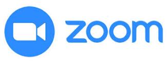 Zoom logo