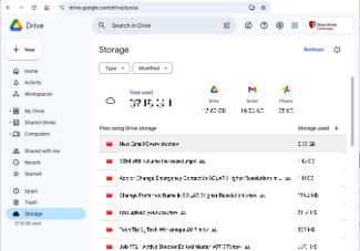 storage in Google Drive showing total used and usage by Drive, Gmail, Photos as well as files using drive storage by file size, starting with biggest