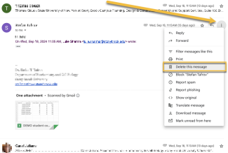 gmail message showing ⋮ More menu open on one message in a conversation and delete this message highlighted