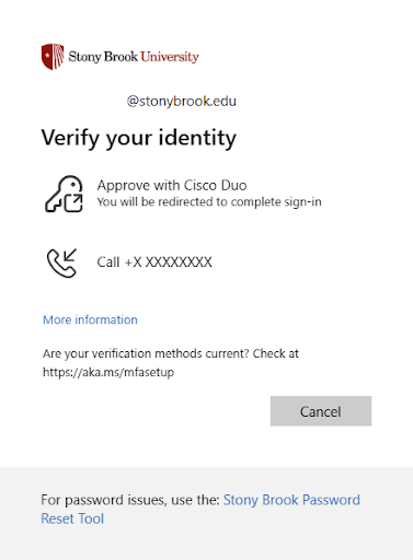 Identity Verification Screen