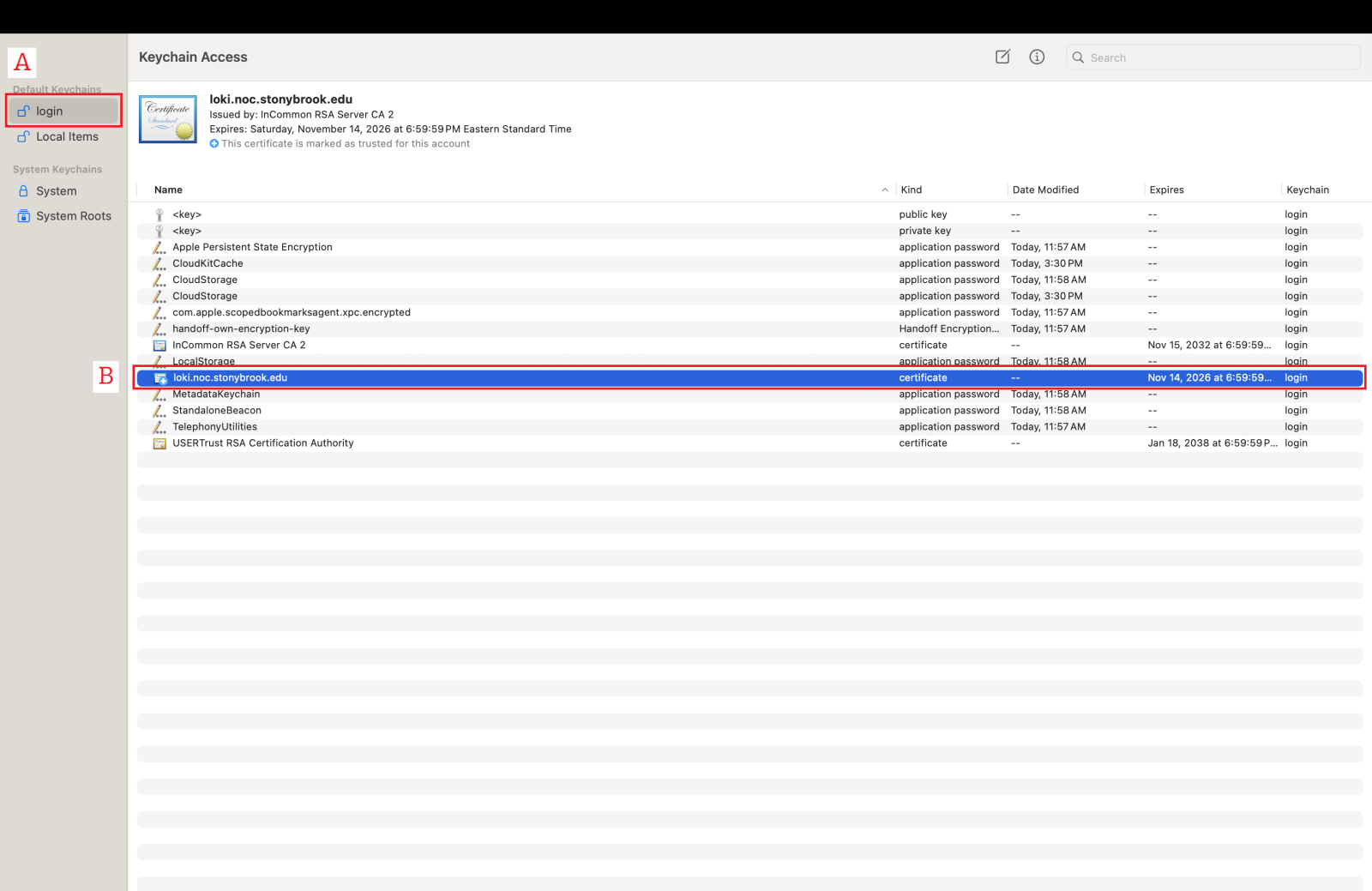 A screenshot of the Keychain access app open in Mac, with "Login" and the certificate selected.