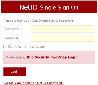 Sign in with your NetID name and password.