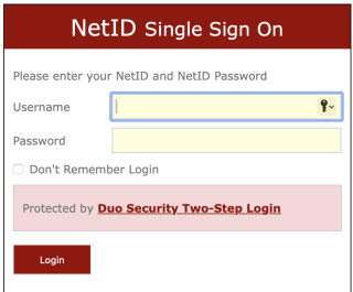 You will be redirected to the NetID SSO page. Sign in with your NetID and NetID password, then click Login