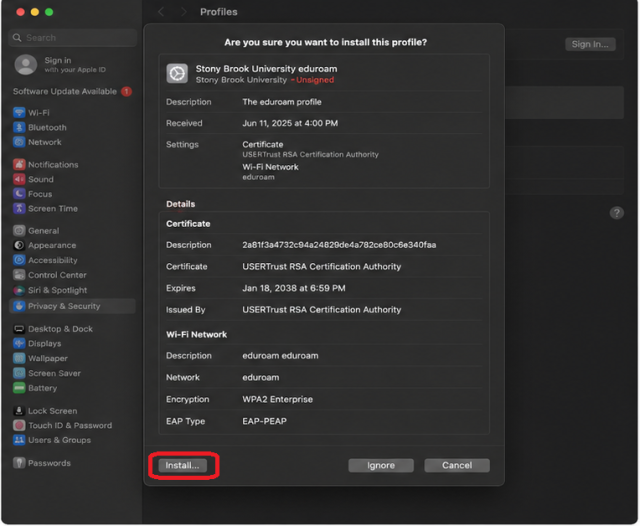 Click on Install in the lower left left corner of the popup window.